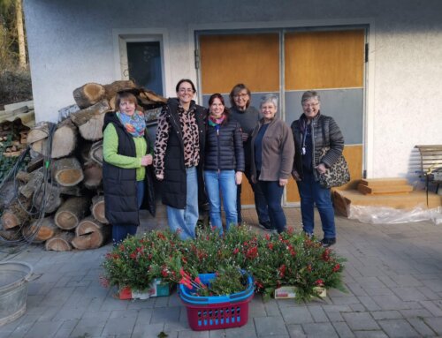 Palmbuschen, Osterkerzen und Ostereier des Katholischen Frauenbundes Pirk 2026 Teil 1